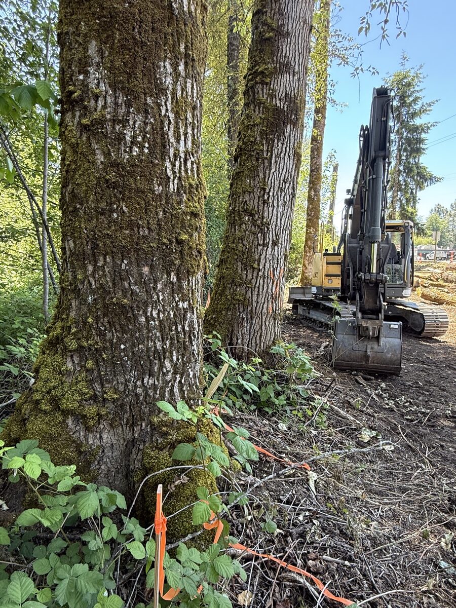 Excavator working among trees on a clearing job