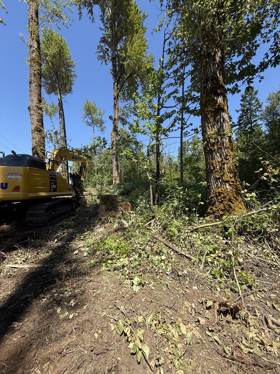 Excavator clearing trees and brush