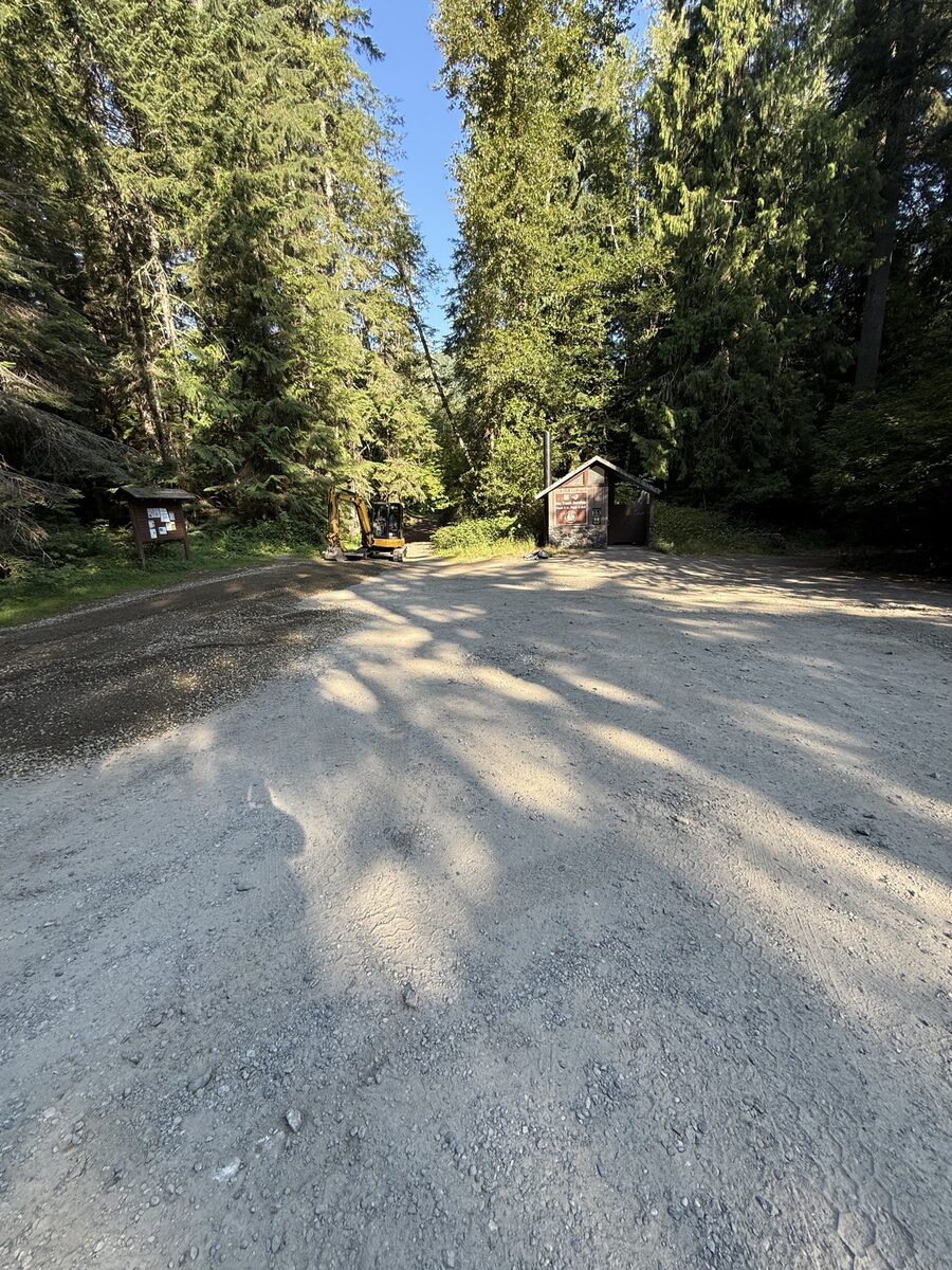 Mini excavator on a forest gravel site